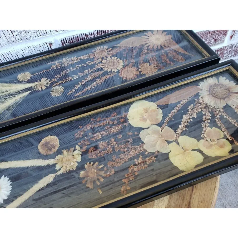 2 ANTIQUE ROCCOCO FRAMED DRIED FLOWER pressed‎ poland victorian oddity wall art